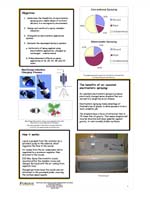 Thumbnail of project panel 2