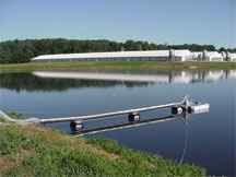 Confined Animal Feeding Operation (CAFO)