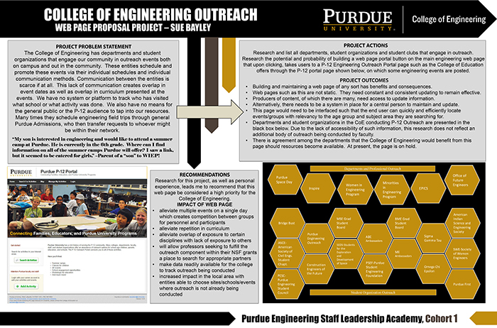 Sue Bayley's Project visual