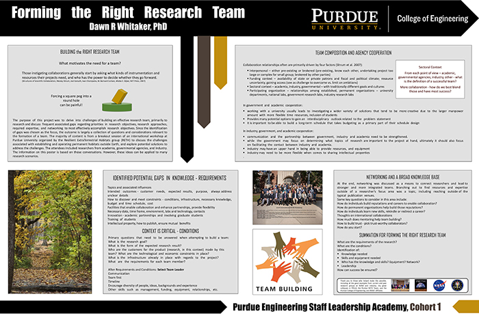 Dawn Whitaker's Project visual