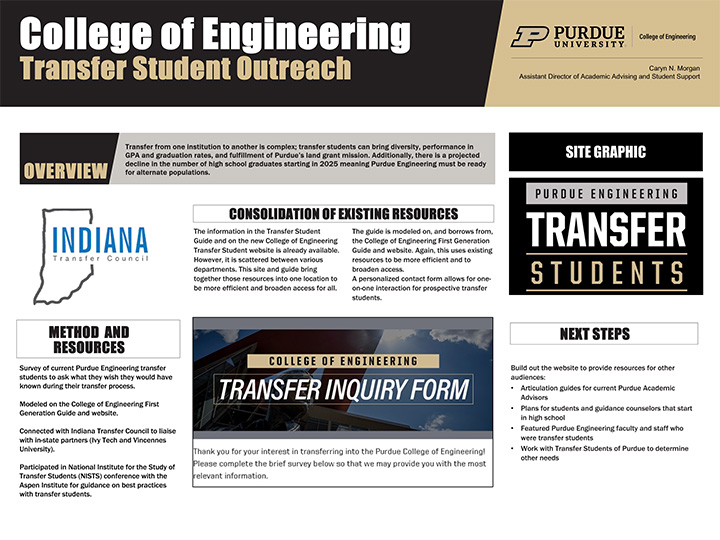 Caryn Morgan's Project visual