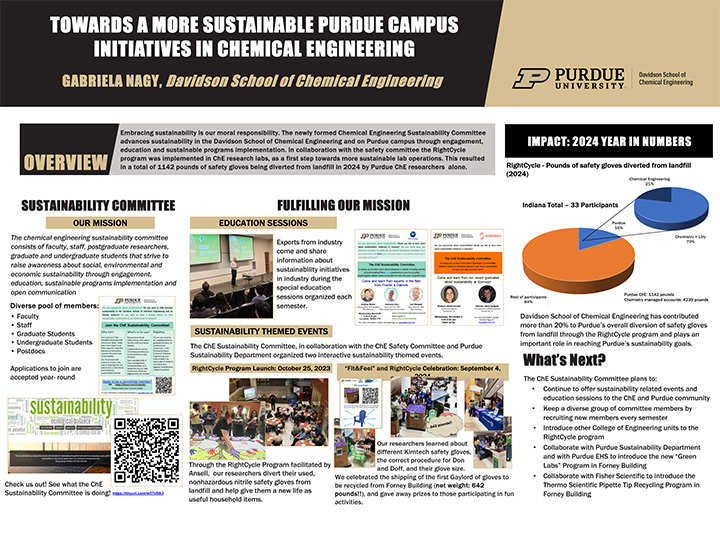 Gabriela Nagy's Project visual