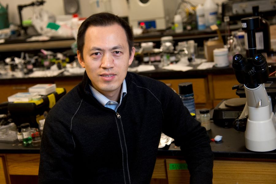 Photo of Professor of Industrial Engineering, Gary Cheng